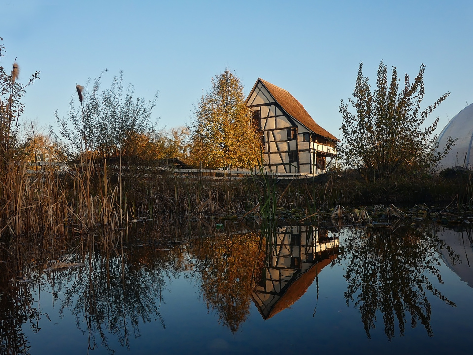 Reflection