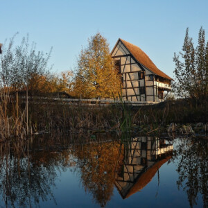 Reflection