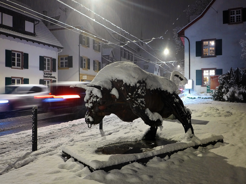 First snow