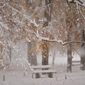 Winter is here!