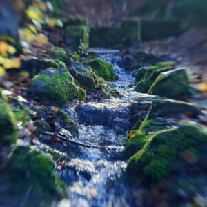 Little stream