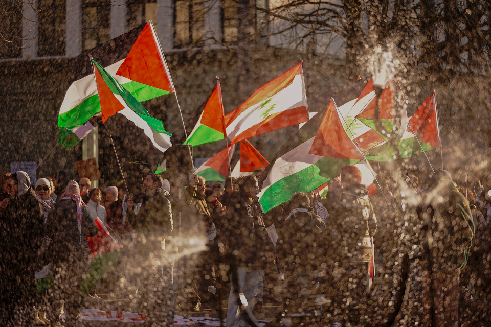 Pro Palestine demo