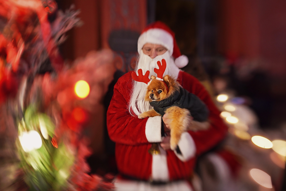 Santa and his reindeer