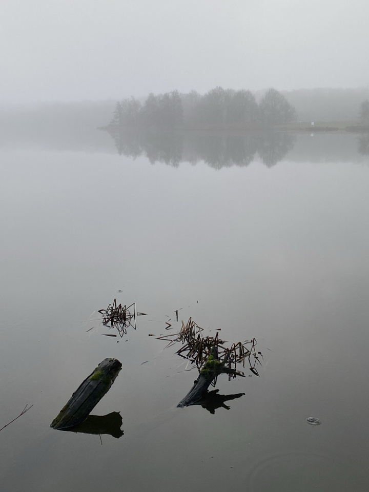 Foggy day