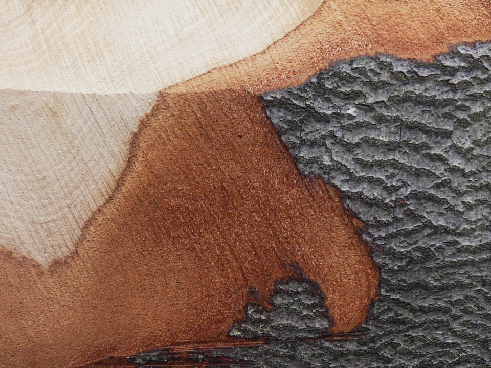 Piece of wood