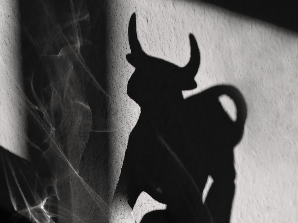 Light&shadow
