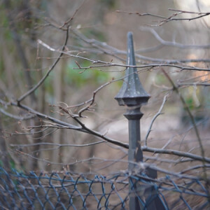 A fence