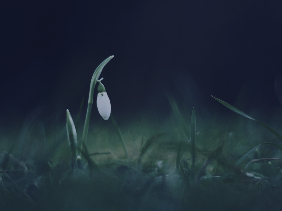 Keep looking for spring