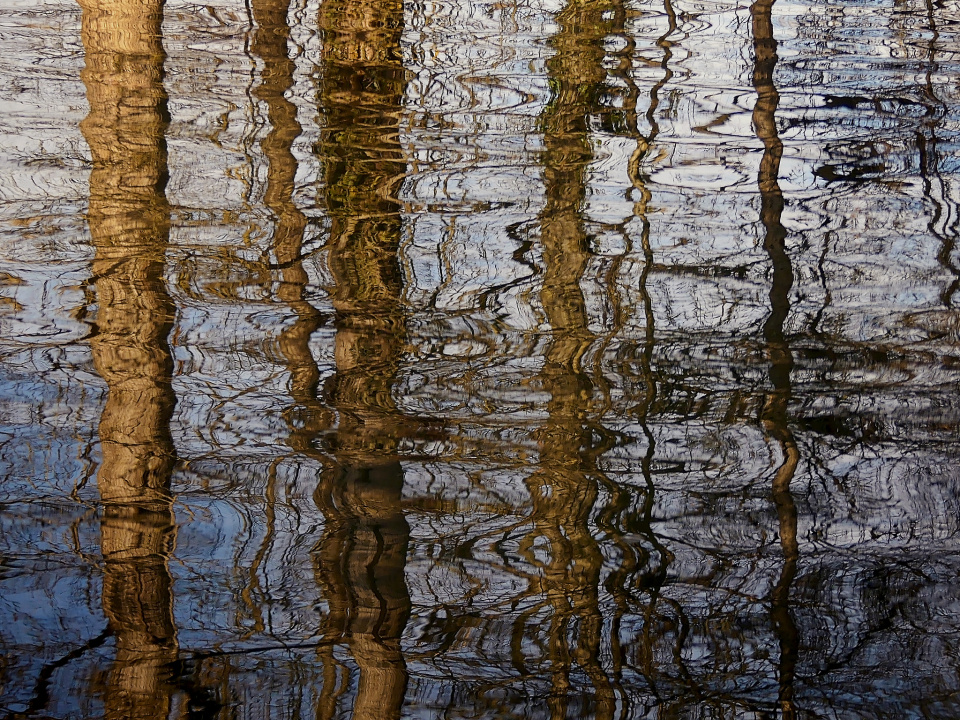 Sunny winter reflections