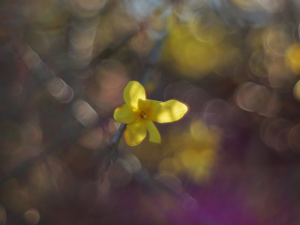 Spring!