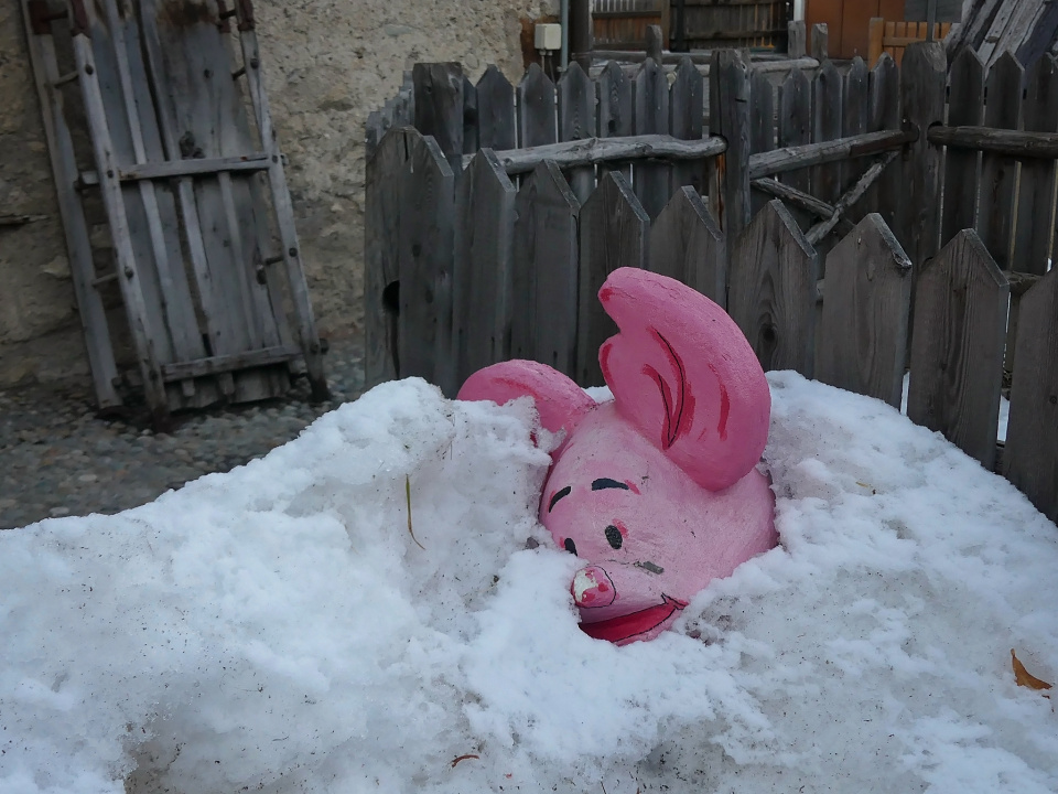 Waiting for spring