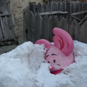Waiting for spring