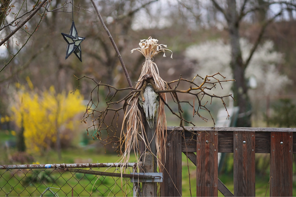 Interesting decoration