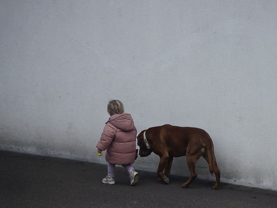 Dog walking