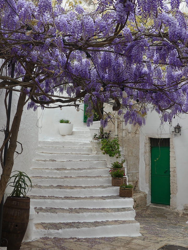 Spring in Ostuni