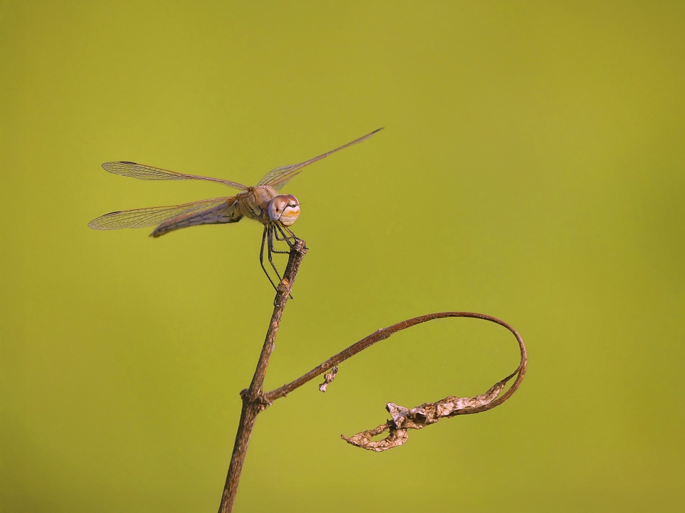 Taking a rest