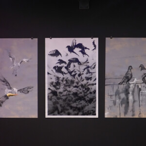 New exhibition