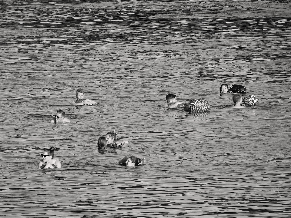 Rhine swimmers