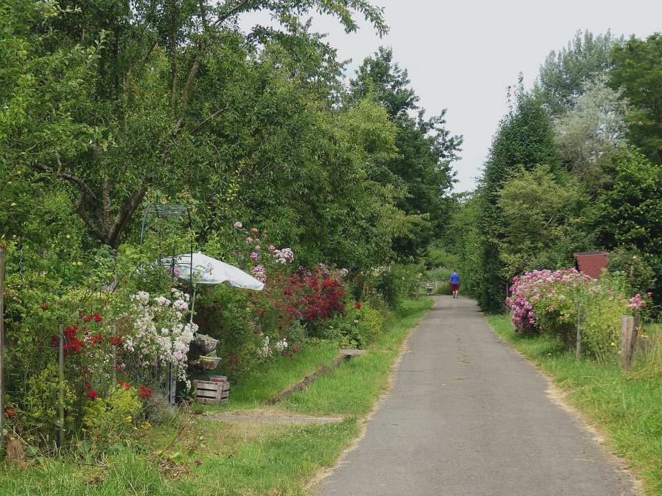Summer walks